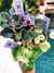 3 house plant mini African Violet Variegated bundle Harmonys Precious Lavendar, Biscayne Trail, Ramblin Amethyst 2 pot pixie flower gift