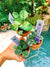 3 house plant mini African Violet Variegated bundle Cajuns Le Bon Ton Roule, Macs Coral carillon, Harmonys Golden Dawn 2 pot flower gift