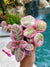 2 Plant Bundle Episcia Bundle Pink Dreams & Pink Smoke Variegated African Flame Violet flowering live House pixie garden 2 Potted gift