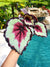 Rex Begonia ‘Bullseye’ Variegated Live House Plant Potted 4” pot terrarium vivarium