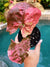 Actual Plant - Syngonium Pink Strawberry Ice Galaxy Marble 2 potted house plant gift 38c