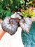Rex Begonia Harmonys Island Magic silver Variegated Live House Plant Potted 4” pot